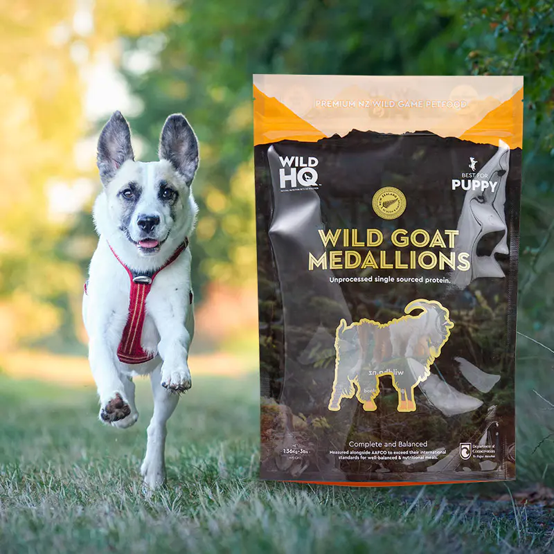 Geantă de cafea colorată, ecologică, imprimare digitală